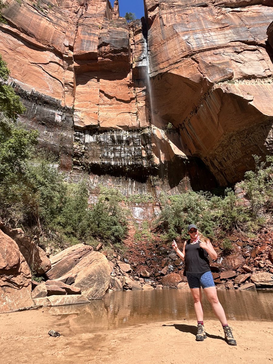 sophia goldberg tweet media