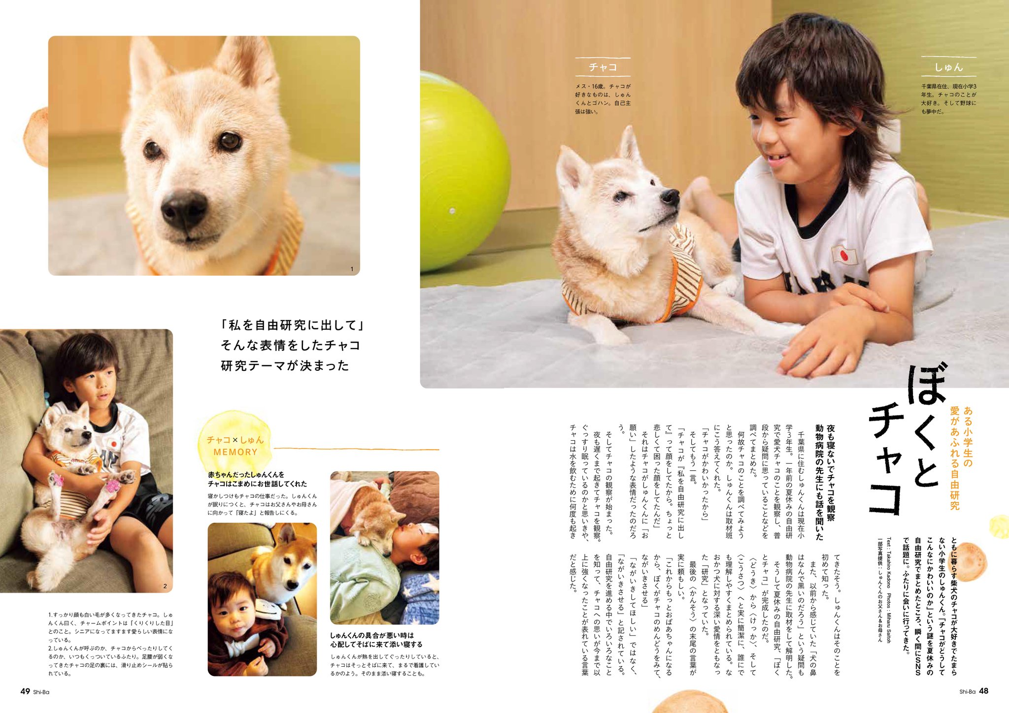 ピコ様❤柴犬 ペン立て♡