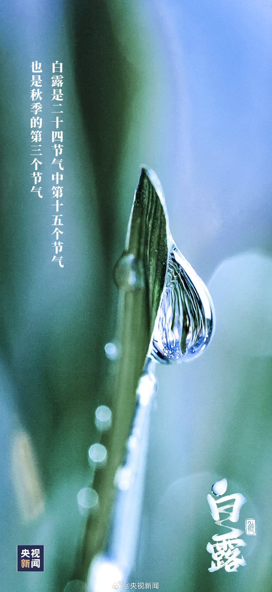 Aunicornglass's tweet photo. It is White dew today
 One of the 24 traditional Chinese solar terms.
White Dew indicates the real beginning of cool autumn. The temperature declines gradually and vapors in the air often condense into white dew on the grass and trees at night
#Aunicornglass #buidlingglass #glass https://t.co/7R1sNFjD3d