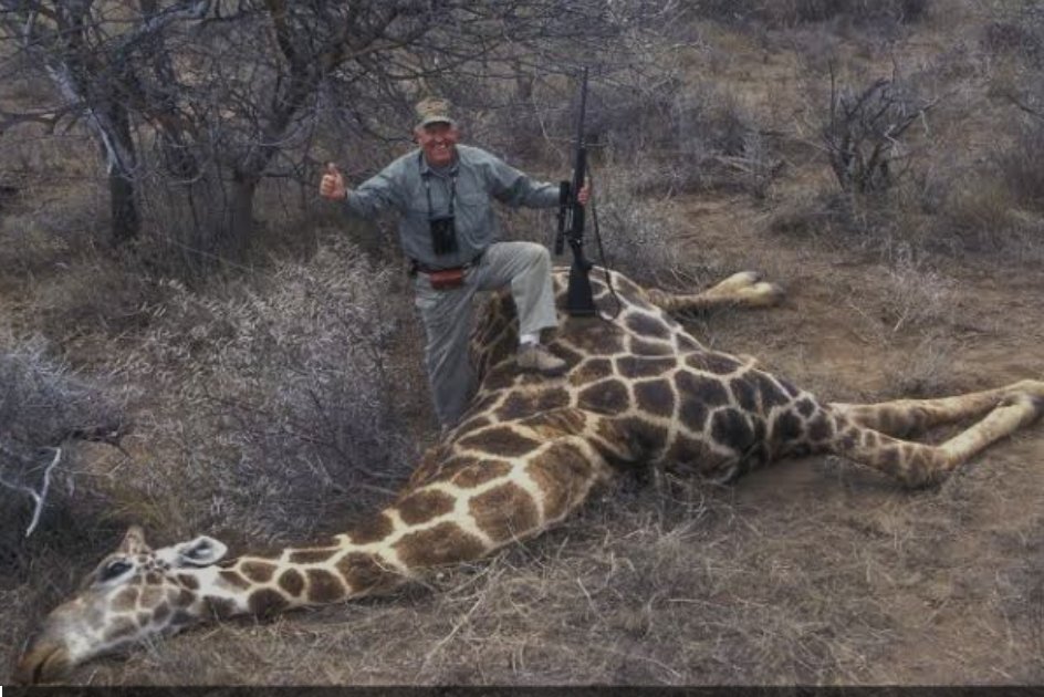 54Battalion's tweet photo. Foreigners have been killing our Animals for Trophy hunting where was NSPCA? Baska re nyela. https://t.co/uBtyiWNdQl
