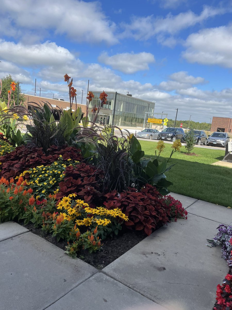 Domknutson21's tweet photo. Was really beautiful outside today #flowers #Twitter #thursdayvibes #Cancer #September #Minnesota #retweet https://t.co/SEoKeX70OT