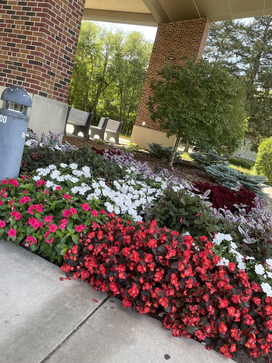Domknutson21's tweet photo. Was really beautiful outside today #flowers #Twitter #thursdayvibes #Cancer #September #Minnesota #retweet https://t.co/SEoKeX70OT