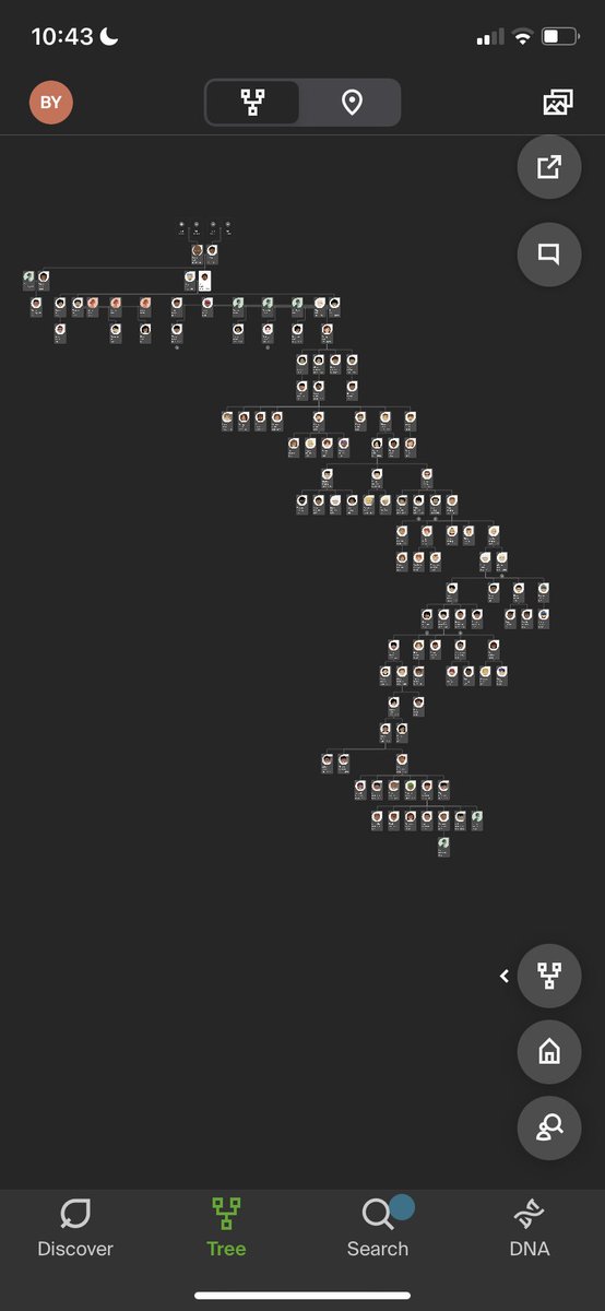 ecelirose's tweet photo. this family (in bitlife) just died off after like 20 generations so i thought i’d share the family tree 😭😭😭 it lasted 933 years so :))) https://t.co/k3M1hvPSRC