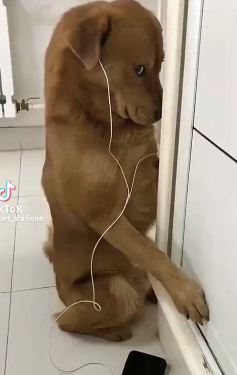 i still haven’t finished day 4 so shamelessly plugging my old Gojo oneshot LIMBO lol. TW for cheating but enjoy this jealousy filled mess. forgive me for not having something new!!! #gojoNSFWweek2023 <a href="/GojoNSFWweek/">Satoru Gojo NSFW Week</a>