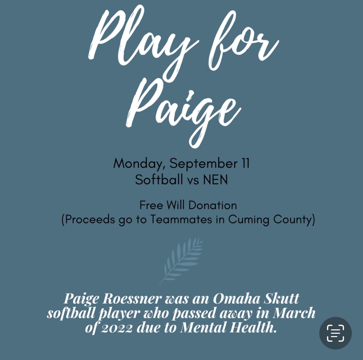 NEN Vipers Softball tweet media