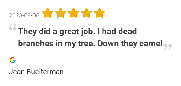 A & A Lawncare & Landscaping tweet media