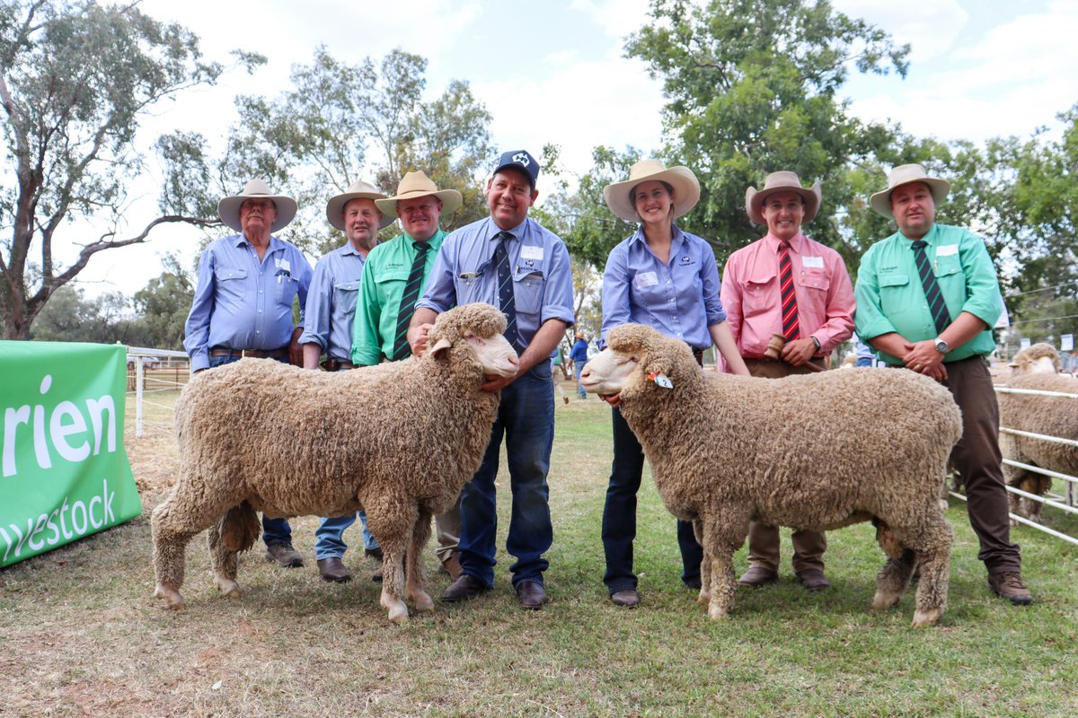 haddonrigstud tweet media