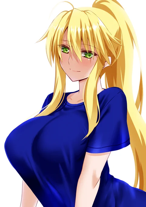 Tシャツを着ても凄い主張してくる獅子王っぱいのパワー。聖槍も抜錨しちゃう☆ 