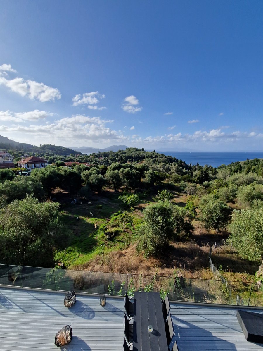 LittleIremia's tweet photo. After the recent rain we've had, the olive grove in front of our guests terrace at Little Iremía, has turned green again and the lambs & sheep are making the most of it!
.
.
#corfu #corfugreece #corfuisland #corfù #corfú #corfu❤️ #corfu_island #corfugram #corfu🇬🇷 #corfu2023 https://t.co/Rb1tvF0mEY