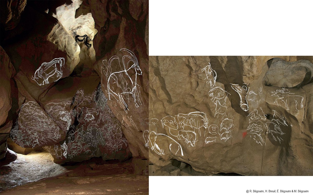 PreGraphity's tweet photo. Hi!!! 👋🤓In this #FridayPaleoArt, we are going to visit a #Paleolithic #HorrorVacui, perhaps the biggest concentration of rock art...
Site: #TroisFrères (Sanctuaire)
Place: Montesquieu-Avantès (Ariège, France)
Motif: Animals, Signs, Imaginary Beings …
Chronology: #Magdalenian https://t.co/pzjoPPqgVu