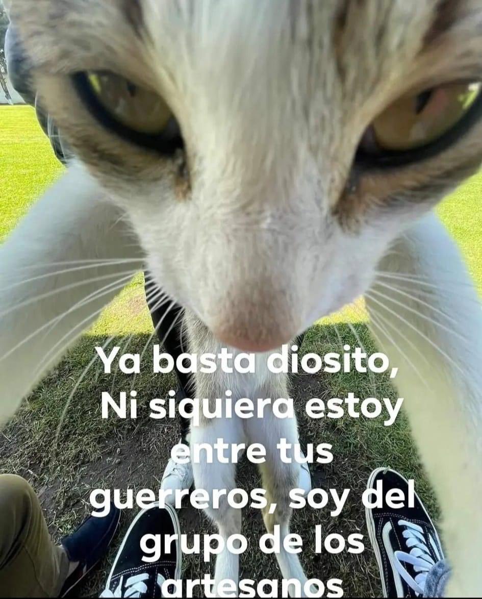 Dylan Cerezo📿 tweet media