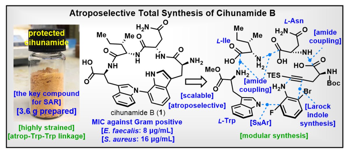 Atroposelective Total Synthesis of Cihunamide B, appearing today in
<a href="/ChemRxiv/">ChemRxiv</a>: chemrxiv.org/engage/chemrxi…