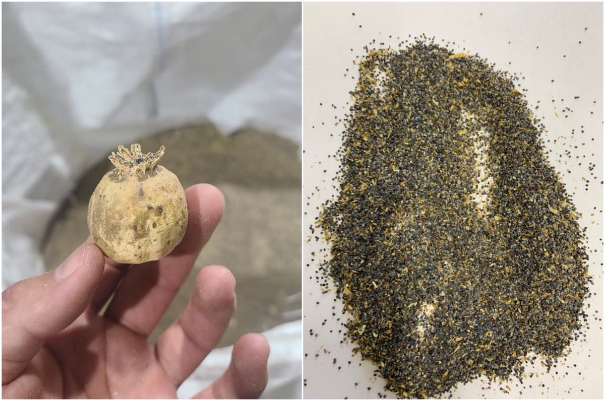 ⚡️В Ташкенстком аэропорту изъяли 8,5 тонн наркоты.

В международном аэропорту Ташкента изъято самое большое количество наркотиков за последние 30 лет — 8,5 тонн. Об этом UzA сообщили в Таможенном комитете