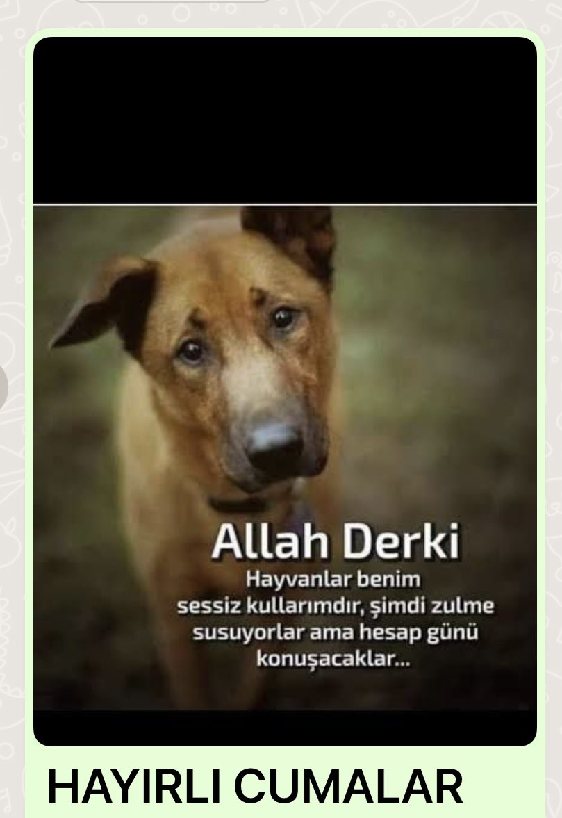 ömercodar (@omrcdr) on Twitter photo 