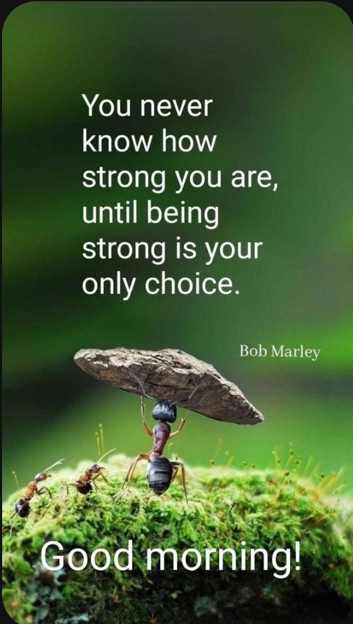 Igor (@sporttouring) on Twitter photo 