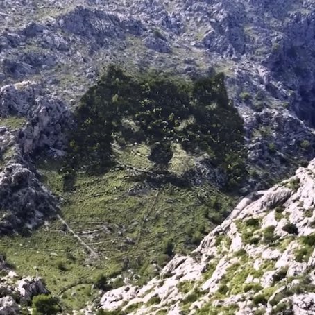 vmroll's tweet image. THIS IS YEONTAN’S WORLD