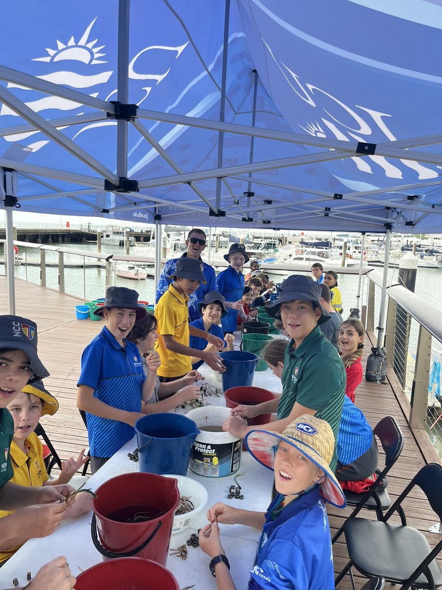 Great turn out today from Newman Catholic College kids to help with our #seagrass #restoration in Cairns!