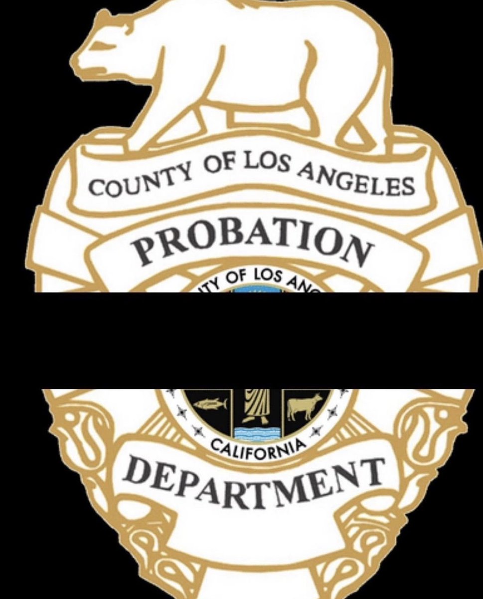 LACProbation's tweet photo. The Los Angeles County Probation Department is mourning the loss of Senior Detention Services Officer Stanley Guyness, a dedicated staff member. Interim Chief Viera Rosa said, “Our deepest condolences go out to the Guyness family … His legacy will continue to inspire us…” https://t.co/E2y0LOlkNX