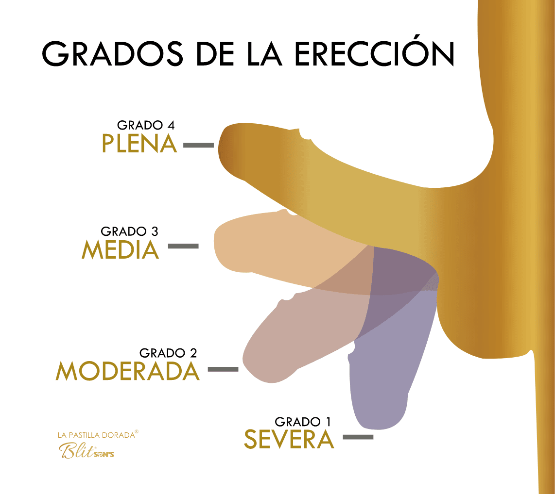 PastillaDorada's tweet photo. Grados de erección #lapastilladorada https://t.co/a9rfkvZvKn