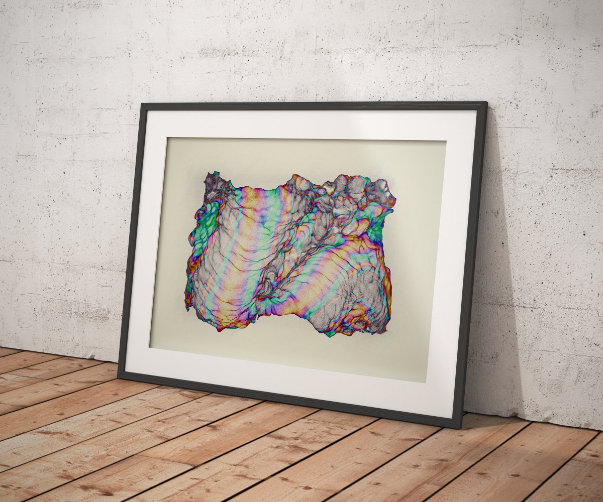 Orr Kislev tweet media