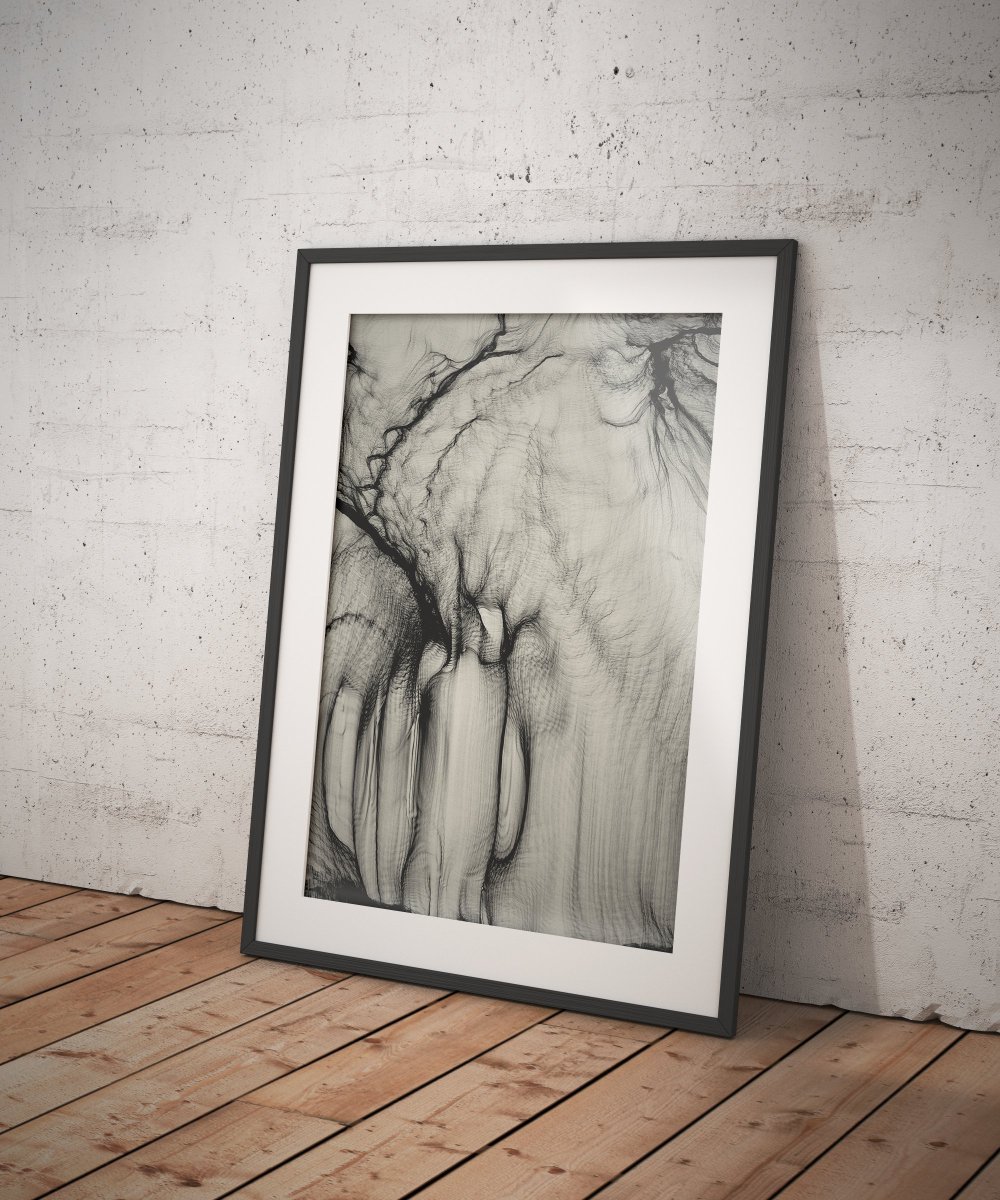 Orr Kislev tweet media