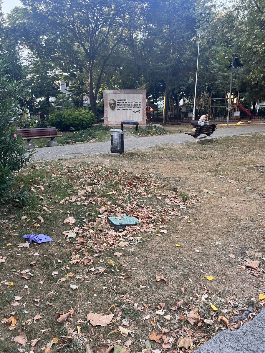 serkndmir's tweet photo. İstanbul'un açık ara en ilgilenilmeyen parkı "Yeniköy Parkı". Bu kadar kötü durumda olmasını aklım almıyor. Teşekkürler @SariyerBelediye @IBBcozummerkezi @SukruGENCBaskan https://t.co/NVLZbaccQY