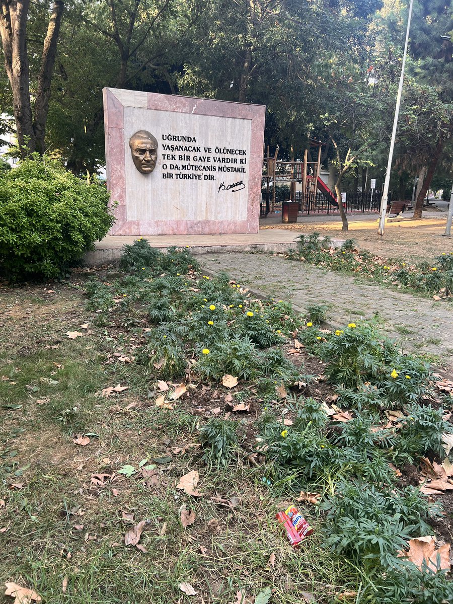 serkndmir's tweet photo. İstanbul'un açık ara en ilgilenilmeyen parkı "Yeniköy Parkı". Bu kadar kötü durumda olmasını aklım almıyor. Teşekkürler @SariyerBelediye @IBBcozummerkezi @SukruGENCBaskan https://t.co/NVLZbaccQY