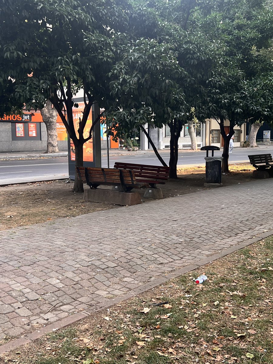 serkndmir's tweet photo. İstanbul'un açık ara en ilgilenilmeyen parkı "Yeniköy Parkı". Bu kadar kötü durumda olmasını aklım almıyor. Teşekkürler @SariyerBelediye @IBBcozummerkezi @SukruGENCBaskan https://t.co/NVLZbaccQY