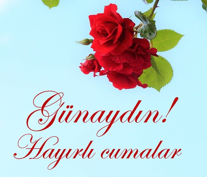 akrep erkeyi (@tokbasar) on Twitter photo 