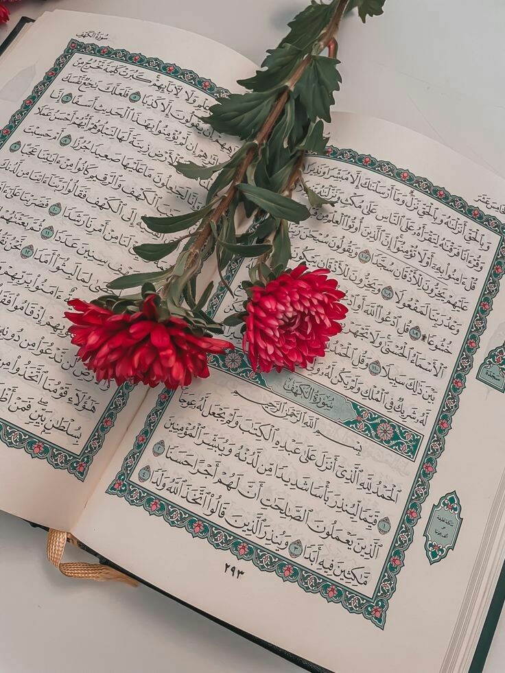 Sadia1446's tweet photo. السلام علیکم 📷 صبح بخیر 📷📷جمعہ مبارک 📷 https://t.co/8ZAZ4LyhxN