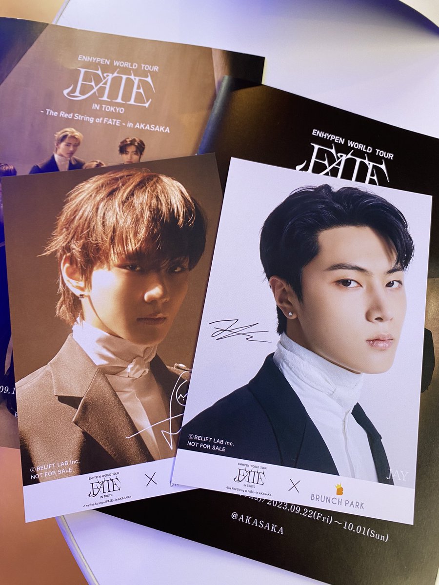 ohgawdjay's tweet photo. Jay and Jungwon came home again 😭🐈⬛🐈😭
#RedStringofFate #EN_WORLDTOUR_FATE #FATE_IN_JAPAN https://t.co/aVdfSx3t1V