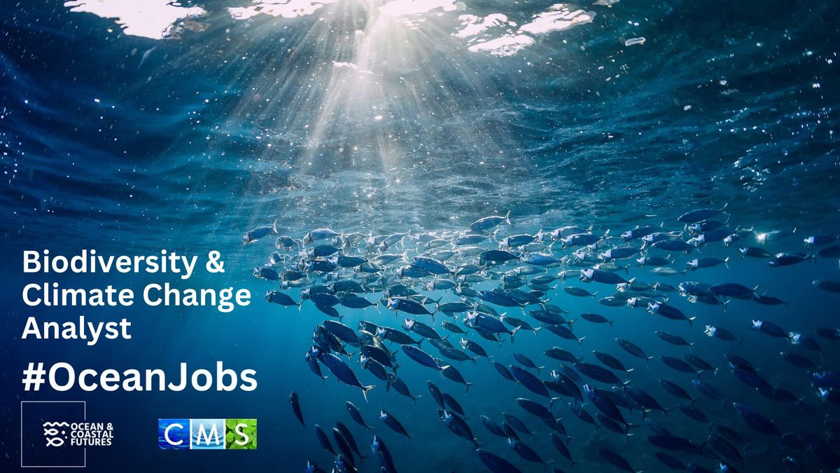 CF_Conf's tweet photo. New job opportunity:
Biodiversity &amp; Climate Change Analyst - Marine Stewardship Council
▪️Salary: Competitive
▪️Location: London or Europe
▪️Full details here 👉 https://t.co/ArTmzdLYjO

Sign up for our CMS #OceanJobs alerts here👉 https://t.co/U9kp2cjAso

#MarineJobs #Climate https://t.co/EOMgFBYq7Z