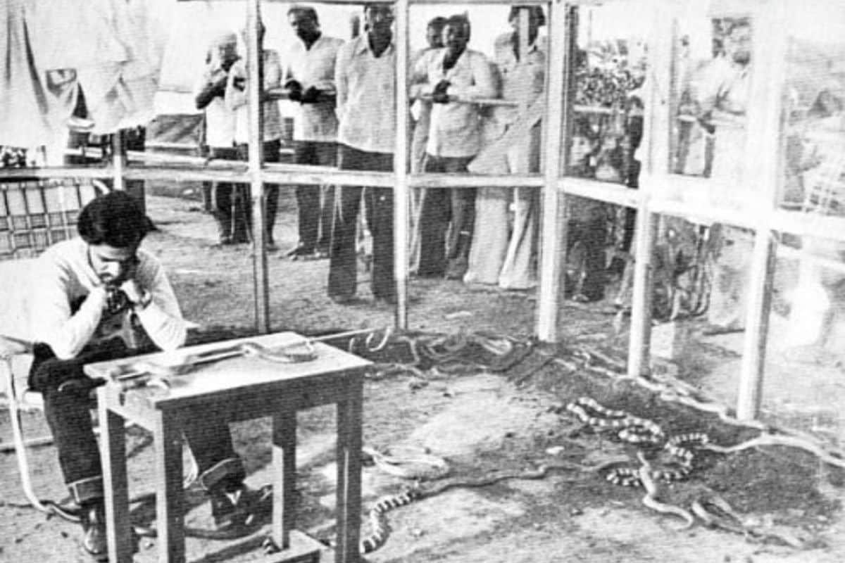 Neelam Kumar Khaire, an Indian man with a profound fascination for snakes, sought to demonstrate that these creatures are not inherently aggressive unless provoked. His mission involved breaking the world record for coexisting with venomous snakes within a glass enclosure. He