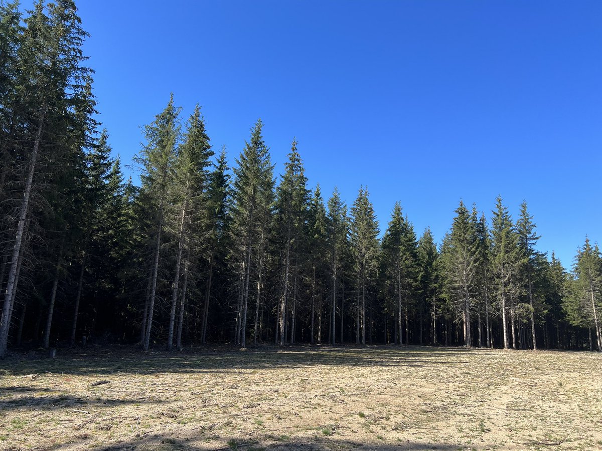 Financer  la rénovation des ecoles et les énergies renouvelables 
En Lozère par exemple: la banque des territoires toujours plus proche au cœur des priorités des élus