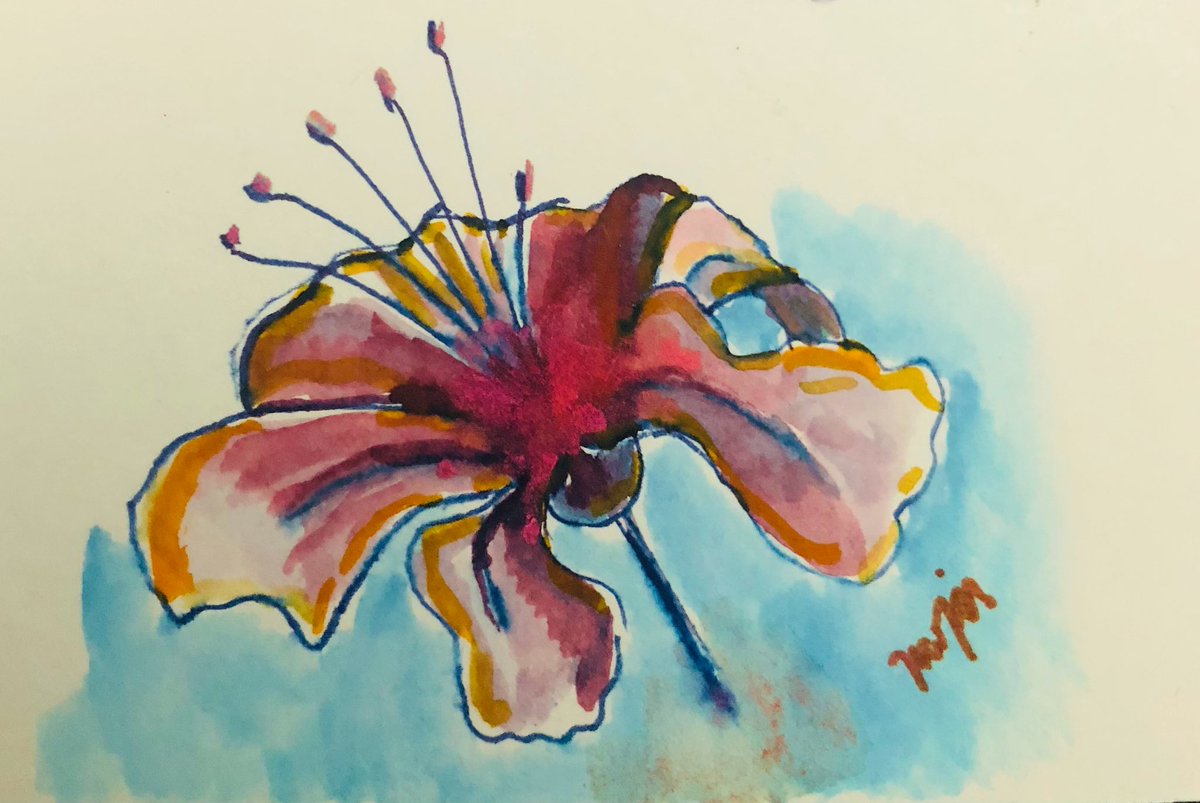 ypical_writer's tweet image. Ein kleiner, aber feiner Blumengruß in einem etwas anderen Stil und mit meiner Lieblingsblume 😇
#JuneArt
#JuneZeichnet
#kleineKunstklasse