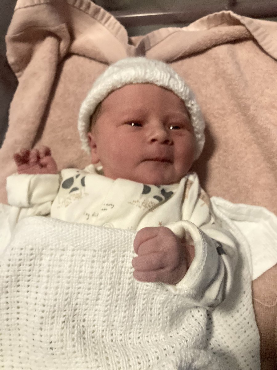 Jason Palmer tweet media