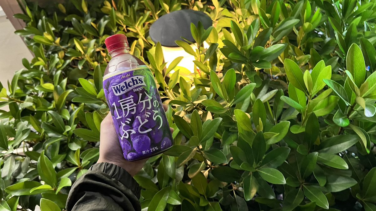 🍇世界一美味しいブドウジュースはこちら。

🍇なんでかって？
🍇お母さんが買ってくれたから🤭💞