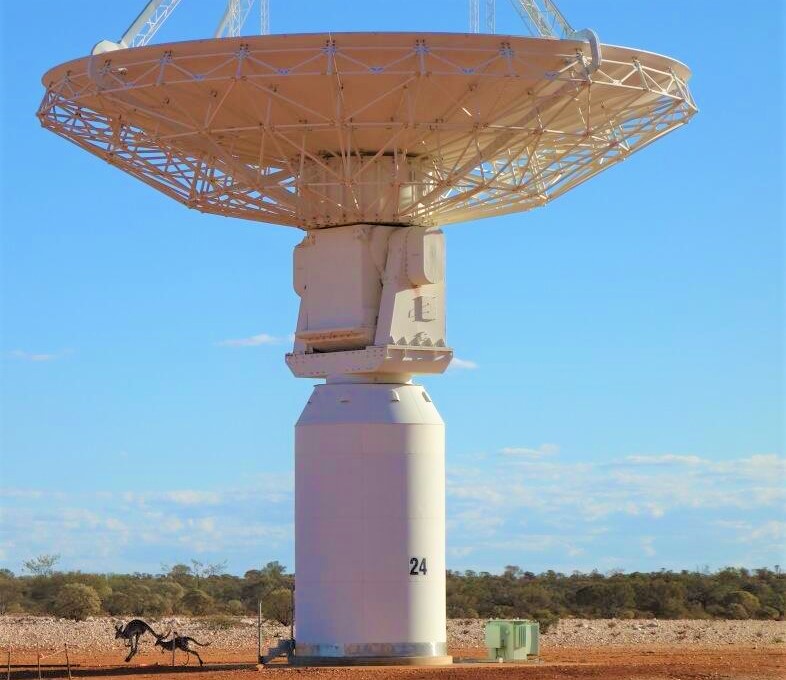 CSIRO_ATNF (@csiro_atnf) on Twitter photo Some kangaroos   on the hop near our #ASKAP antenna 24, Janimaarnu, at #Inyarrimanha Ilgari   Bundara, our Murchison Radio-astronomy Observatory csiro.au/en/about/facil… Some kangaroos   on the hop near our #ASKAP antenna 24, Janimaarnu, at #Inyarrimanha Ilgari   Bundara, our Murchison Radio-astronomy Observatory csiro.au/en/about/facil…