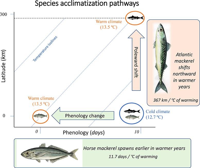 Guillem Chust tweet media