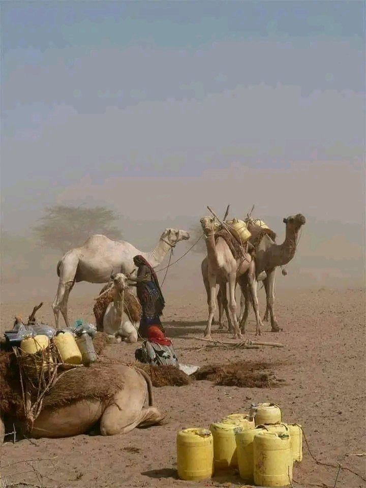 ActionTai's tweet photo. Climate Impacts on our pastoralists Women and Girls in Asal regions.
Women's and girls' health is at risk from direct impacts of climate change. They usually lacks proper interventions on sexual health reproductive system.@Fistula_Fdtn @ChiromoHospGrp
#AfricaClimateSummit2023 https://t.co/iMwpraEfbS