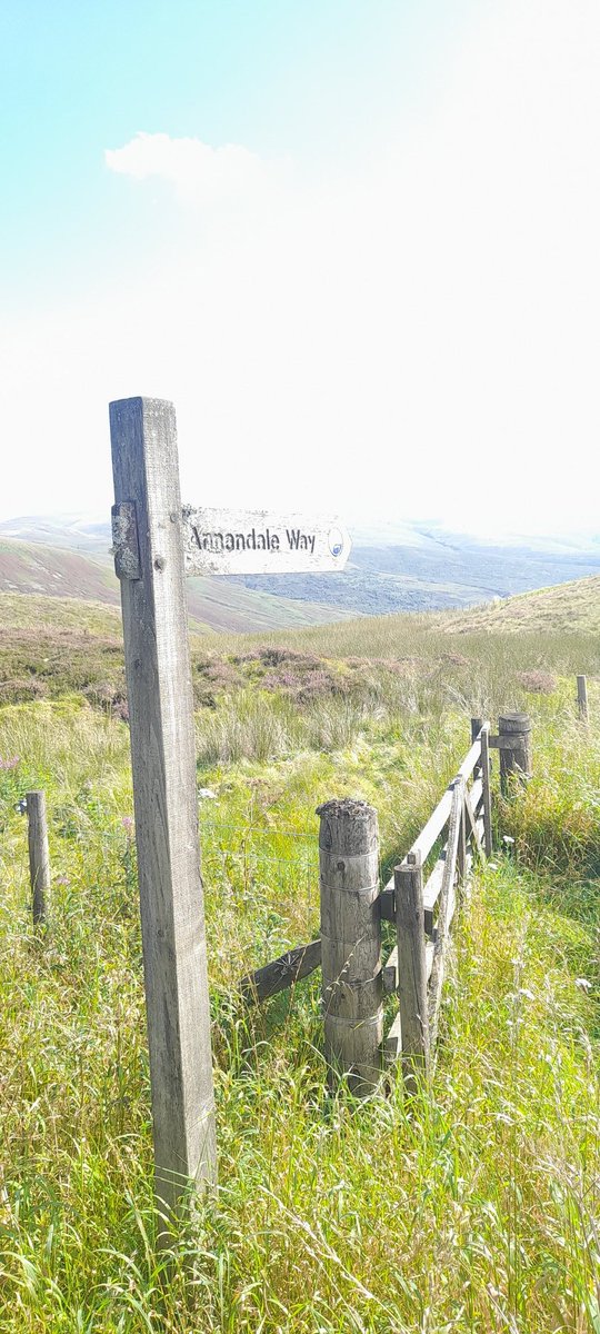kvtr01's tweet photo. A #fingerpostfriday basking in the sunshine after being drowned by rain all summer
#annandaleway
#devilsbeeftub
#Moffat
#dumfriesgalloway π΄σ §σ ’σ ³σ £σ ΄σ Ώ https://t.co/rot3MAtDUO