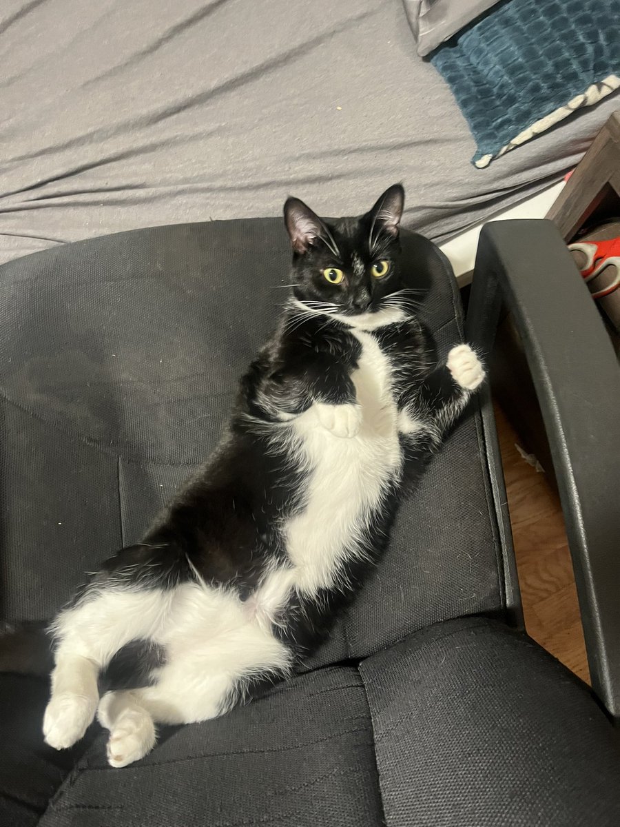 what a fine lady, so well dressed🤵‍♀️