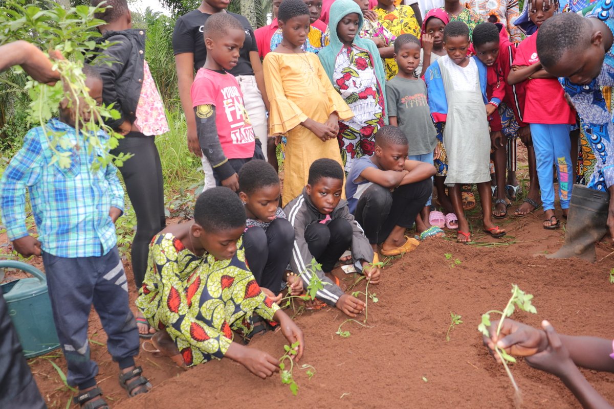 Grabe_BeninONG's tweet photo. Vacances utiles dans la Nature pour l’éducation environnementale et la promotion des valeurs endogènes. Une initiative dont l’objectif principal est de permettre aux enfants d’être en contact avec la nature et tout en s’amusant, d’acquérir de nouvelles connaissances. https://t.co/SfbyM8LhMR