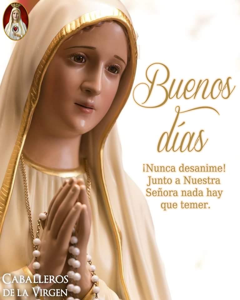 RuizHurtadoRE's tweet photo. ¡Buenos Días!
Que la reina del cielo #Envíe a sus santos ángeles para #Protegerte muy especialmente. ¡ Amén! https://t.co/b8kjNUw1H0