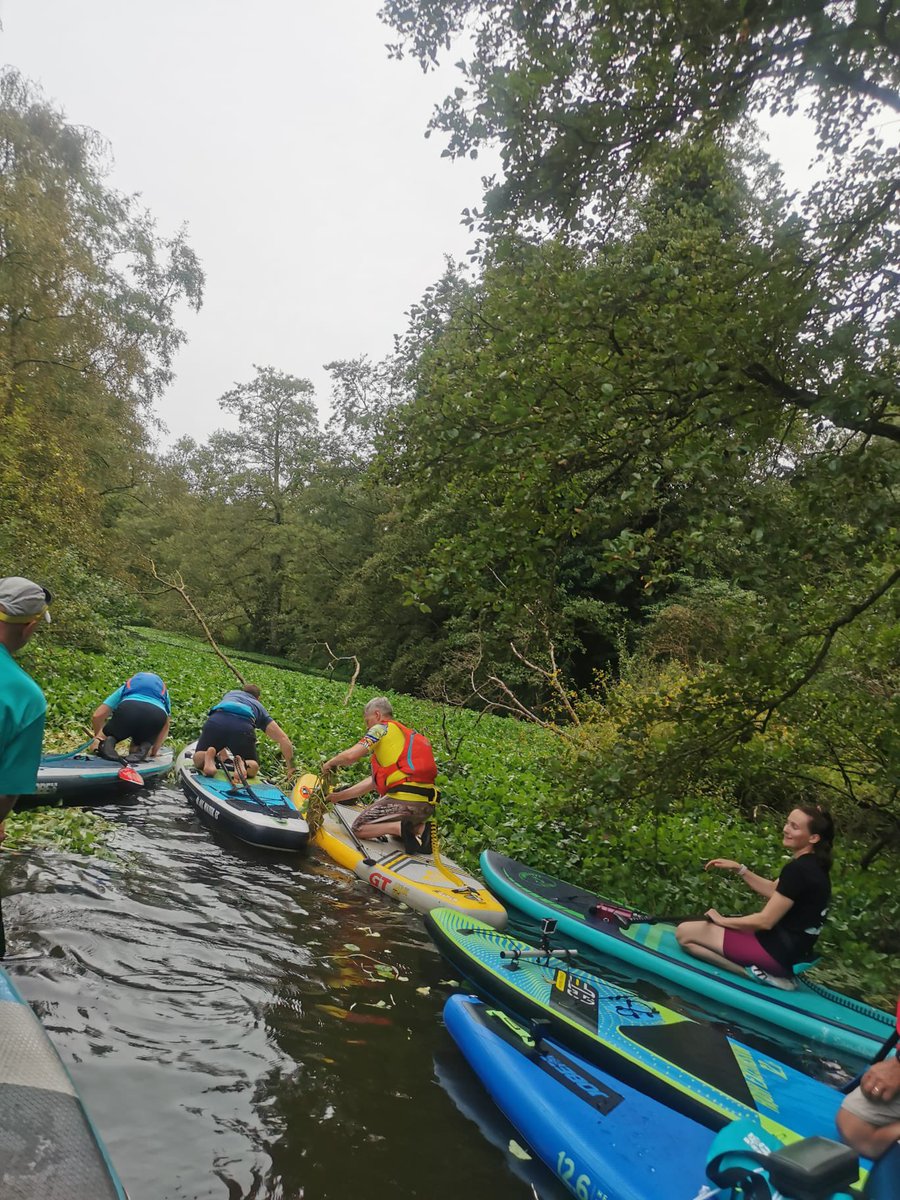 If any evidence is needed that Pennywort is invading our rivers, then this is it #RiverWeaver last evenings paddle was completely blocked. The realisation that this invasive species has taken hold .