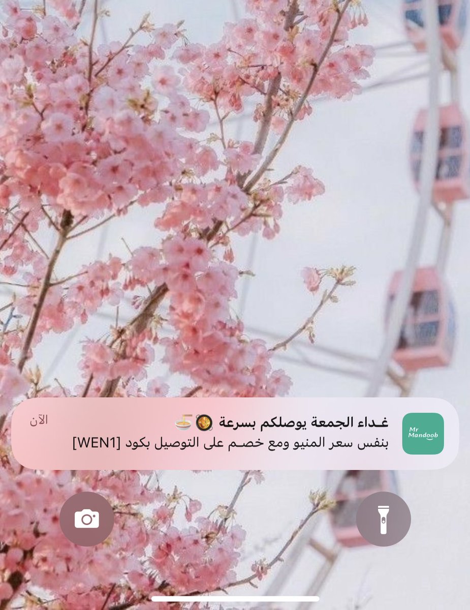 a199_s6's tweet photo. @mrmandoobapp  الله يسعدكم المرا الجاية اذا عندكم عروض نزلو كودكم بعد صلاة الجمعة لاني طلبت وتحسفت عرضكم جا متأخر 🥲 https://t.co/5jTmopATDV