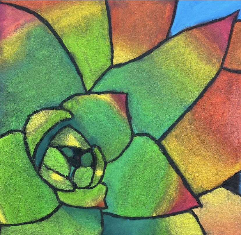 These 7th grade succulent drawings turned out AMAZING! I’m so proud of this group of students!!