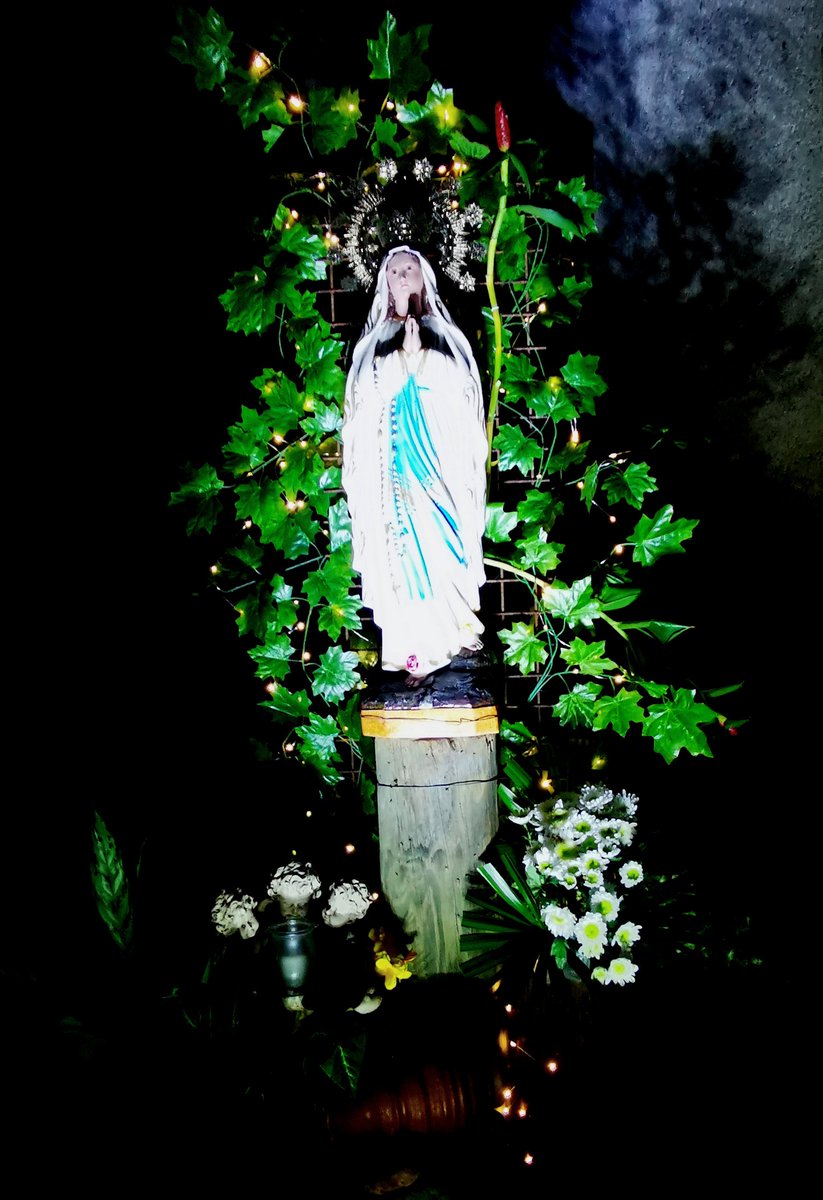 JoeJoy1607's tweet photo. Holy mother of God,
Destroy in us the roots of ill,
Increase in us the good begun,
That Christians all may fully share
The royal priesthood of your Son.
#Marylovers #Rosary #WithMary
Praying for you! 👣📿
@ednyoka @fr_petros @FrUgochukwu @RosaryMum @praytherosary https://t.co/dBM83xcqfP