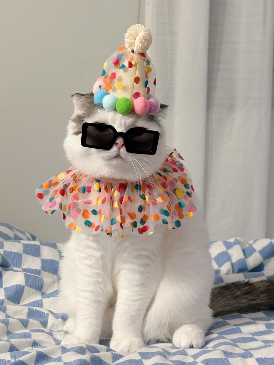 เมื่อผ่านวันเกิดคุณไปแล้ว แต่พรอพที่แม่สั่งไว้เพิ่งมาส่ง