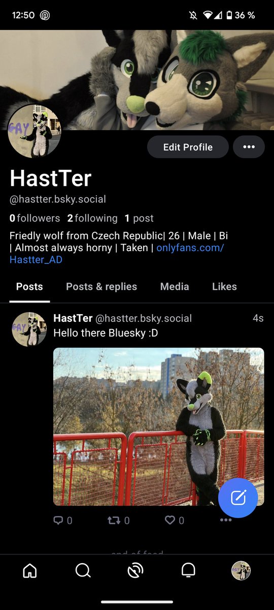 Hey guys I finally have a bsky :D